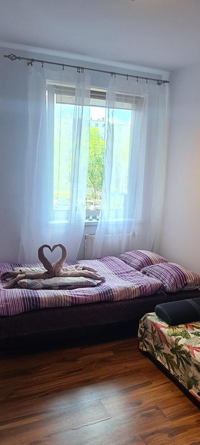 Sweet Home & Sweet Cats & Fast Internet Вроцлав Екстер'єр фото