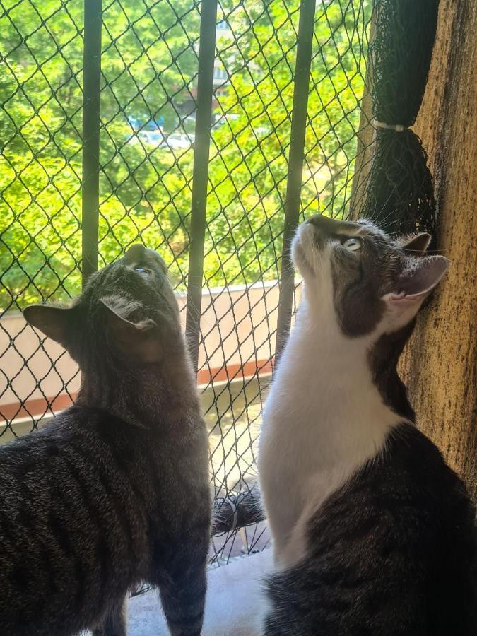 Sweet Home & Sweet Cats & Fast Internet Вроцлав Екстер'єр фото